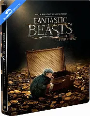Animales Fantásticos y Dónde Encontrarlos (2016) - Steelbook (Blu-ray + DVD + Digital Copy) (MX Import ohne dt. Ton) Blu-ray