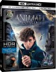 Animali fantastici e dove trovarli 4K (4K UHD + Blu-ray + UV Copy) (IT Import) Blu-ray