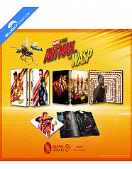 ant-man-and-the-wasp-blufans-premium-collection-07-limited-edition-double-lenticular-fullslip-steelbook-cn-import_klein.jpg