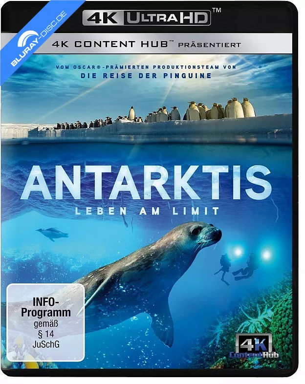 antarktis---leben-am-limit-4k-4k-uhd-neu.webp