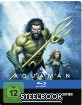 aquaman-2018-illustrated-artwork-limited-steelbook-edition-final_klein.jpg