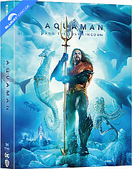 aquaman-and-the-lost-kingdom-2023-4k-manta-lab-exclusive-69-limited-edition-double-lenticular-fullslip-type-a-steelbook-hk-import_klein.jpg