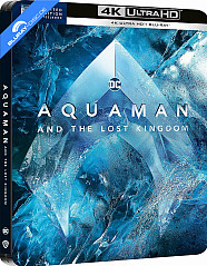 aquaman-i-zaginione-krolestwo-2023-4k-limited-edition-steelbook-pl-import_klein.jpg