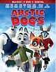 Arctic Dogs (2019) (Blu-ray + DVD + Digital Copy) (Region A - US Import ohne dt. Ton) Blu-ray