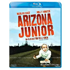 arizona-junior-it.webp