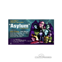 asylum---irrgarten-des-schreckens---grosse-hartbox-cover-d.webp