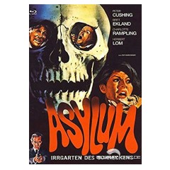 asylum---irrgarten-des-schreckens-limited-x-rated-eurocult-collection-53-cover-b.webp