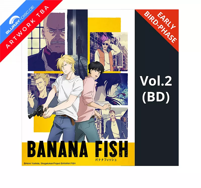 banana-fish---vol.-2-vorab.webp