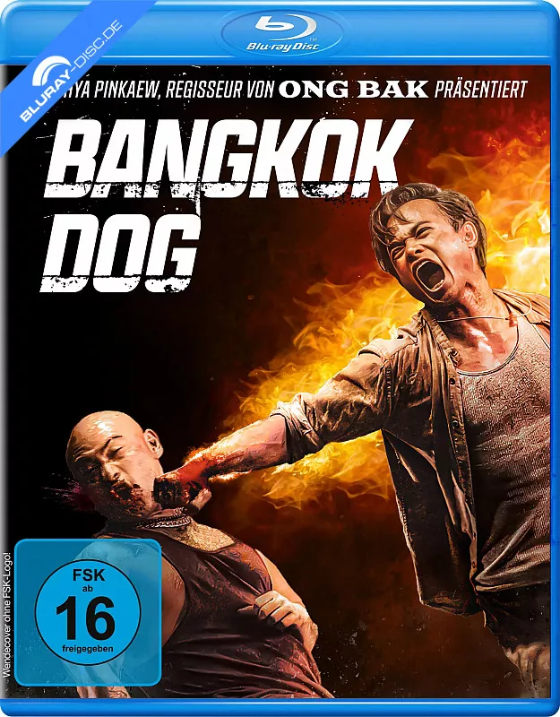 bangkok-dog.webp