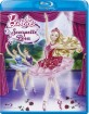 Barbie e le Scarpette Rosa (IT Import) Blu-ray