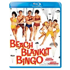 beach-blanket-bingo-us.jpg