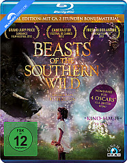 Beasts of the Southern Wild Blu-ray
