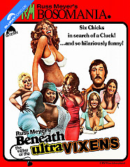 beneath-the-valley-of-the-ultra-vixens-us-import_klein.jpg