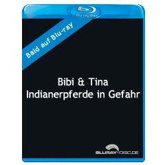 bibi-und-tina-indianerpferde-in-gefahr-DE.jpg