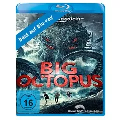 big-octopus---de.webp