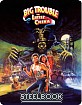 Big Trouble in Little China - Zavvi Exclusive Limited Edition Steelbook (UK Import ohne dt. Ton) Blu-ray