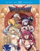 Bikini Warriors: The Complete Series (Blu-ray + DVD) (Region A - US Import ohne dt. Ton) Blu-ray