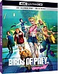 Birds of Prey: And the Fantabulous Emancipation of One Harley Quinn 4K (4K UHD + Blu-ray) (IT Import ohne dt. Ton) Blu-ray