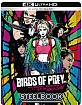 Birds of Prey: And the Fantabulous Emancipation of One Harley Quinn 4K - Limited Edition Illustrated Artwork Steelbook (4K UHD + Blu-ray) (IT Import ohne dt. Ton) Blu-ray