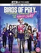 Birds of Prey: And the Fantabulous Emancipation of One Harley Quinn 4K (4K UHD + Blu-ray) (UK Import) Blu-ray