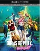 Birds of Prey: And the Fantabulous Emancipation of One Harley Quinn 4K (4K UHD + Blu-ray + Digital Copy) (US Import ohne dt. Ton) Blu-ray