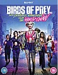Birds of Prey: And the Fantabulous Emancipation of One Harley Quinn (UK Import ohne dt. Ton) Blu-ray