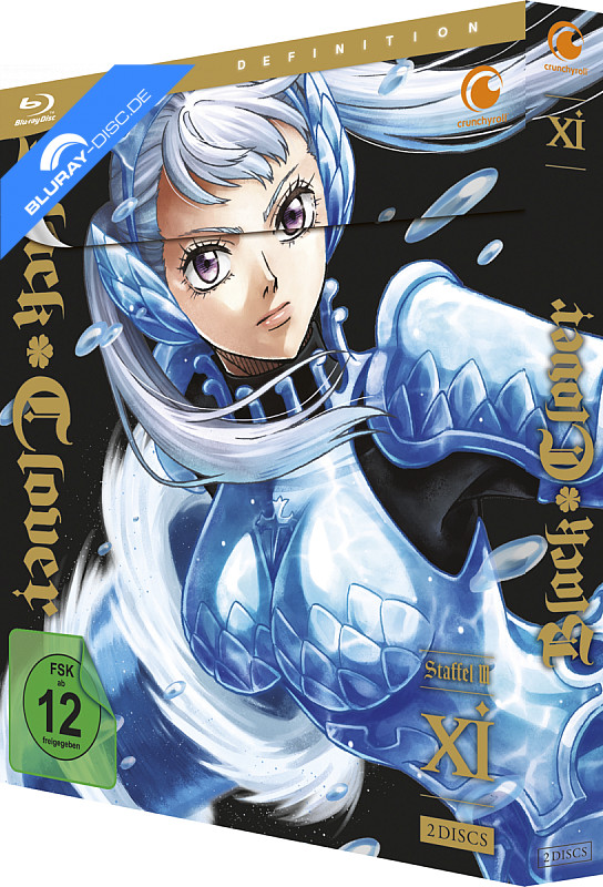 black-clover---vol.-11.webp