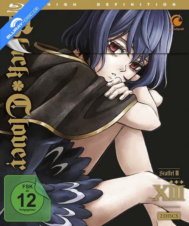 black-clover---vol.-13.webp