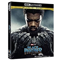 black-panther-2018-4k-kr-import.jpg