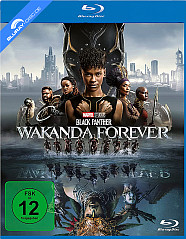 black-panther-wakanda-forever--neu_klein.jpg black-panther-wakanda-forever--neu_klein.jpg