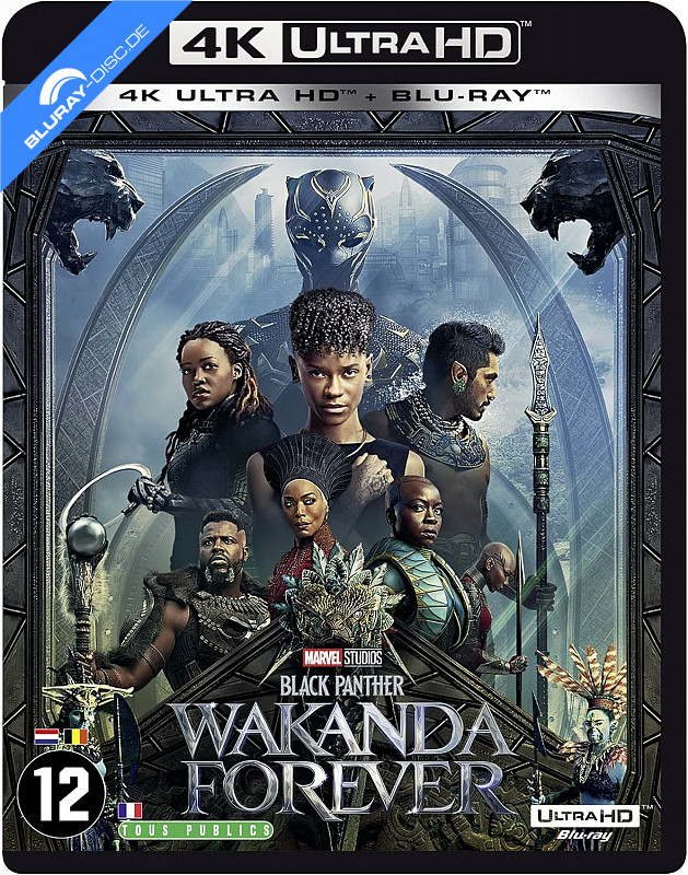 black-panther-wakanda-forever-2022-4k-fr-import.webp