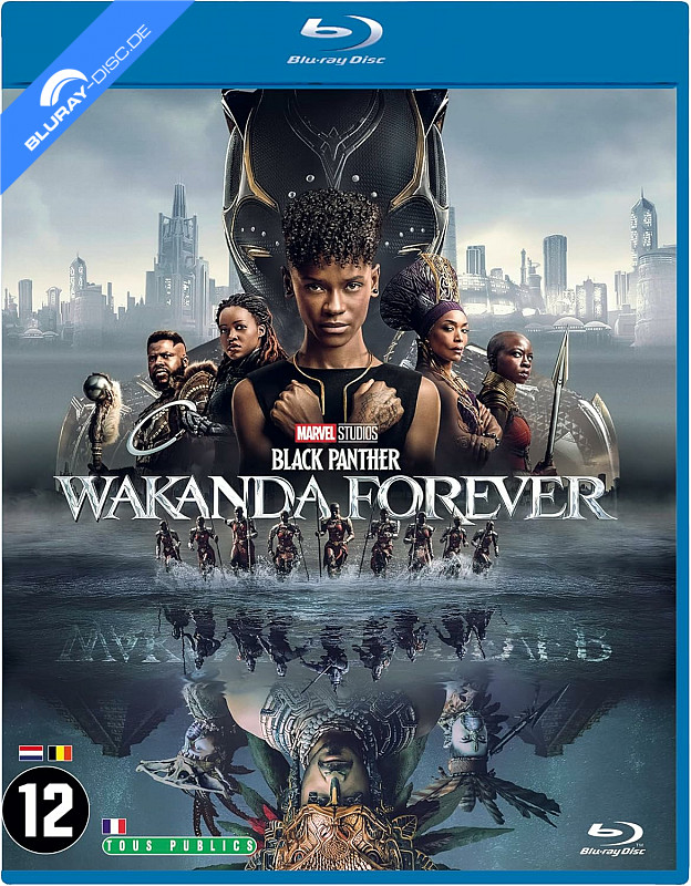 black-panther-wakanda-forever-2022-fr-import.webp