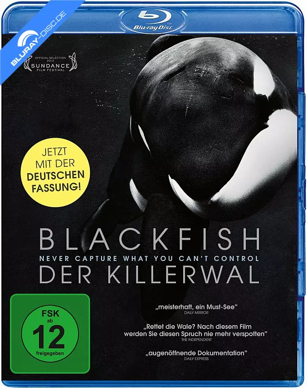 blackfish---der-killerwal-neu.webp