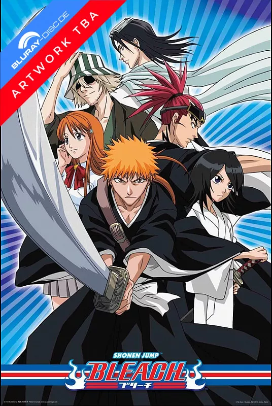 bleach---partie-10-edition-collector-limitee---fr.webp
