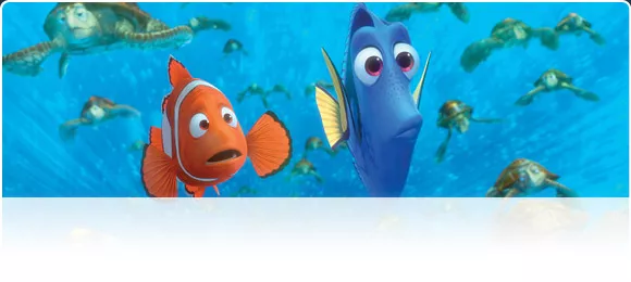 Findet-Nemo.webp
