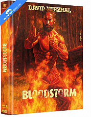 bloodstorm-2025-limited-mediabook-edition-cover-b_klein.jpg