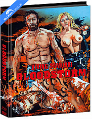 bloodstorm-2025-wattierte-limited-mediabook-edition-cover-c-blu-ray---dvd_klein.jpg