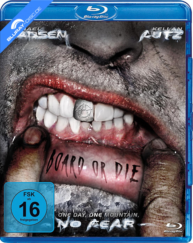 board-or-die-neu.webp