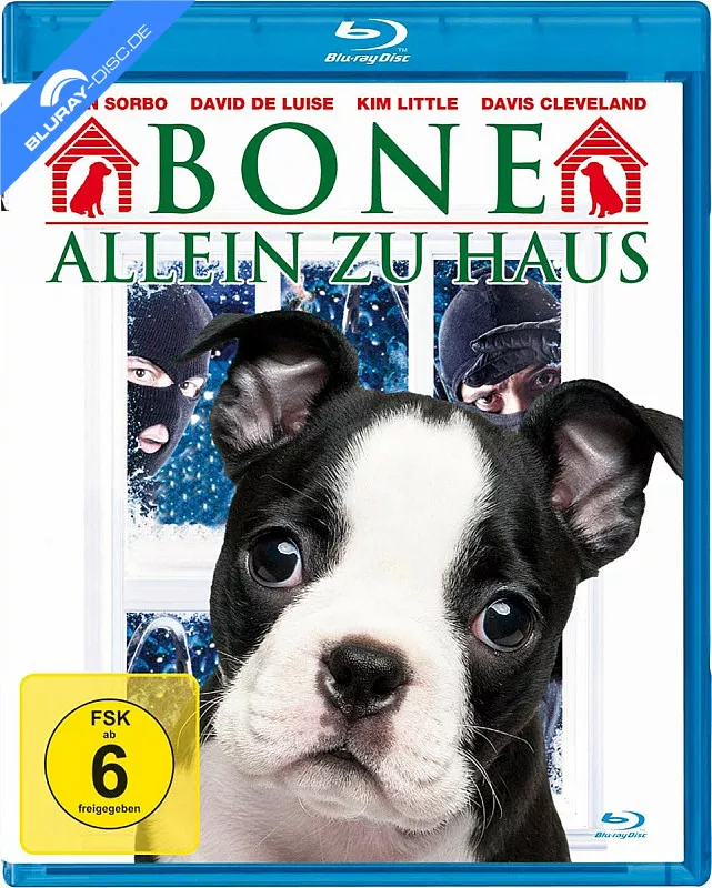 bone---allein-zu-haus-neu.webp