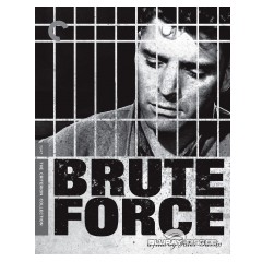 brute-force-criterion-collection-us.jpg