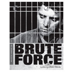 brute-force-criterion-collection-us.webp
