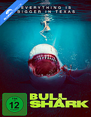 bull-shark--de_klein.jpg