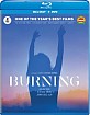 Burning (2018) (Blu-ray + DVD) (Region A - US Import ohne dt. Ton) Blu-ray