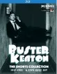 Buster Keaton: The Shorts Collection (1917-1923) (Region A - US Import ohne dt. Ton) Blu-ray