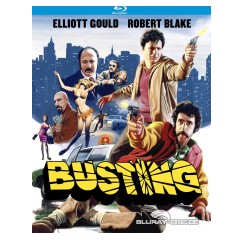 busting-us.webp