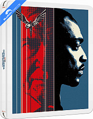 Captain America: Brave New World 4K - Édition Limitée Steelbook (4K UHD + Blu-ray) (FR Import ohne dt. Ton) Blu-ray