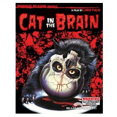 cat-in-the-brain-us.jpg