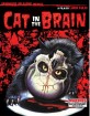 cat-in-the-brain-us_klein.jpg