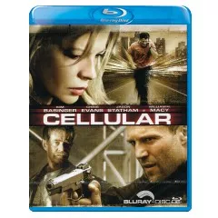 cellular-it.webp