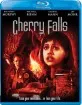 Cherry Falls (2000) (Region A - US Import ohne dt. Ton) Blu-ray